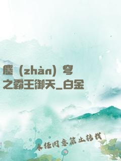 鏖戰(zhàn)蒼穹之霸王御天