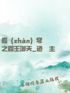 鏖戰(zhàn)蒼穹之霸王御天