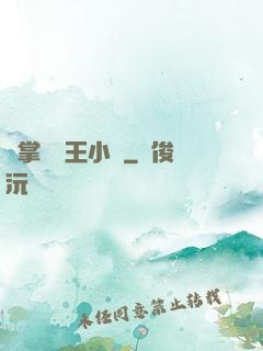 鐵掌無敵王小軍