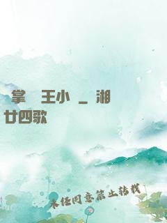 鐵掌無敵王小軍