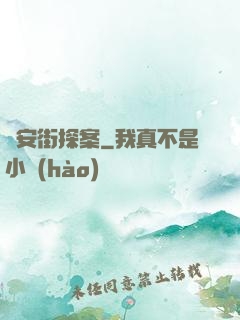 長安街探案