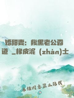 閃婚甜妻：腹黑老公霸道寵