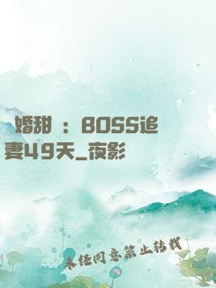 閃婚甜愛：BOSS追妻49天