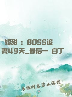 閃婚甜愛：BOSS追妻49天