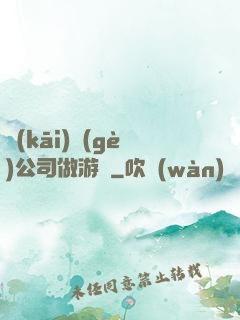開(kāi)個(gè)公司做游戲