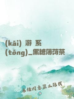 開(kāi)羅游戲系統(tǒng)
