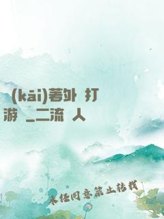 開(kāi)著外掛打游戲