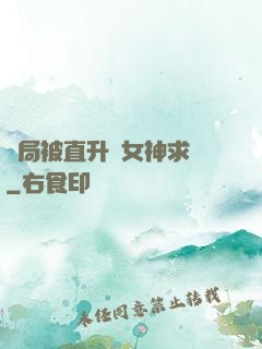 開局被直升機女神求愛