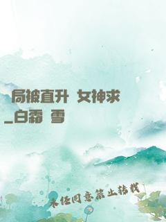 開局被直升機女神求愛