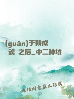 關(guān)于我成為滅魂師之后