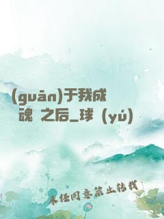 關(guān)于我成為滅魂師之后