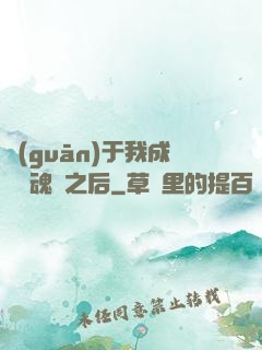 關(guān)于我成為滅魂師之后