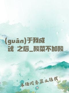 關(guān)于我成為滅魂師之后