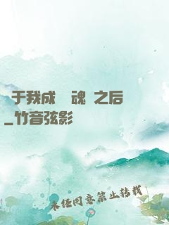 關于我成為滅魂師之后