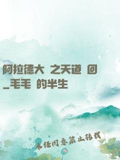 阿拉德大陸之天道輪回