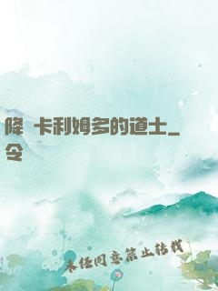 降臨卡利姆多的道士