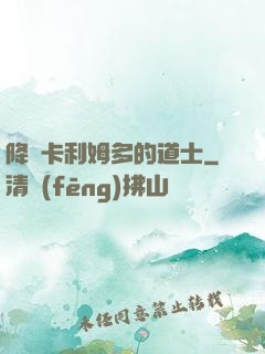 降臨卡利姆多的道士