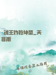 陣魂王炸乾坤圣