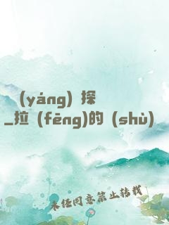陰陽(yáng)偵探