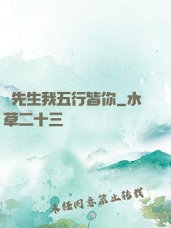陸先生我五行皆你