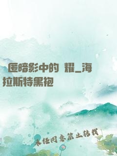 隱匿暗影中的榮耀