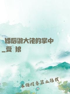 隱婚后做大佬的掌中嬌