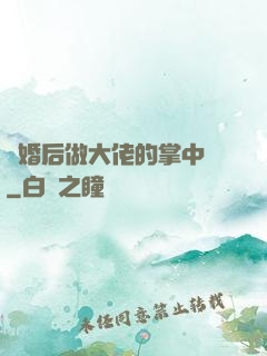 隱婚后做大佬的掌中嬌