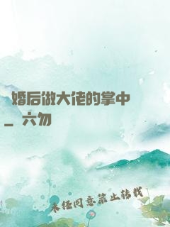 隱婚后做大佬的掌中嬌