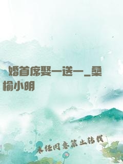 隱婚首席娶一送一