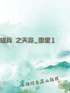 雄兵連之天命