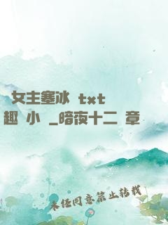 雙女主塞冰塊txt筆趣閣小說