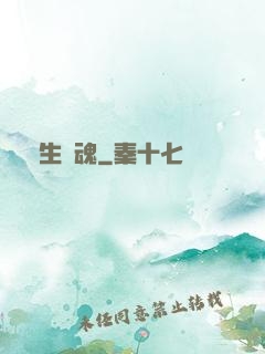 雙生軍魂