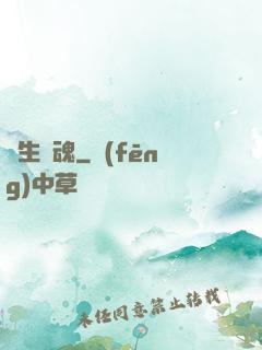 雙生軍魂