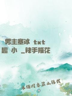 雙男主塞冰塊txt筆趣閣小說