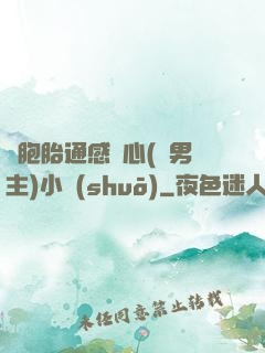 雙胞胎通感夾心(雙男主)小說(shuō)