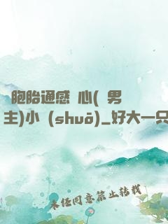 雙胞胎通感夾心(雙男主)小說(shuō)