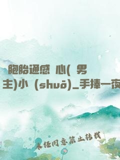 雙胞胎通感夾心(雙男主)小說(shuō)