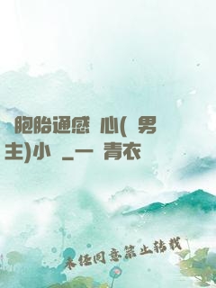 雙胞胎通感夾心(雙男主)小說