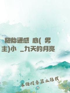 雙胞胎通感夾心(雙男主)小說