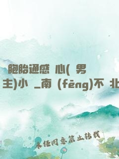 雙胞胎通感夾心(雙男主)小說