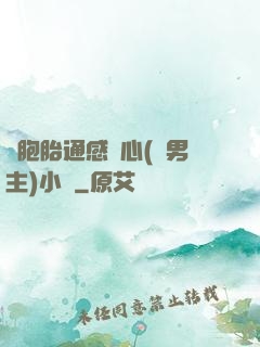 雙胞胎通感夾心(雙男主)小說