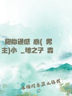雙胞胎通感夾心(雙男主)小說