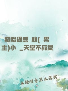 雙胞胎通感夾心(雙男主)小說