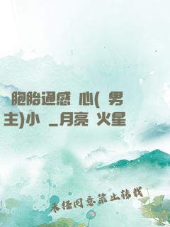 雙胞胎通感夾心(雙男主)小說