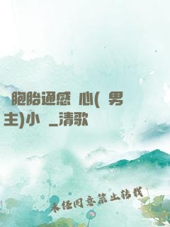 雙胞胎通感夾心(雙男主)小說