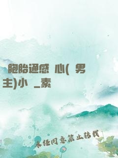 雙胞胎通感夾心(雙男主)小說