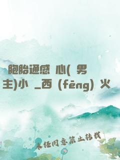 雙胞胎通感夾心(雙男主)小說