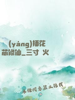 雙陽(yáng)插花芯修仙
