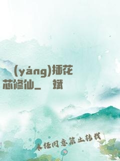 雙陽(yáng)插花芯修仙