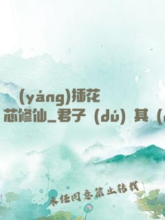 雙陽(yáng)插花芯修仙